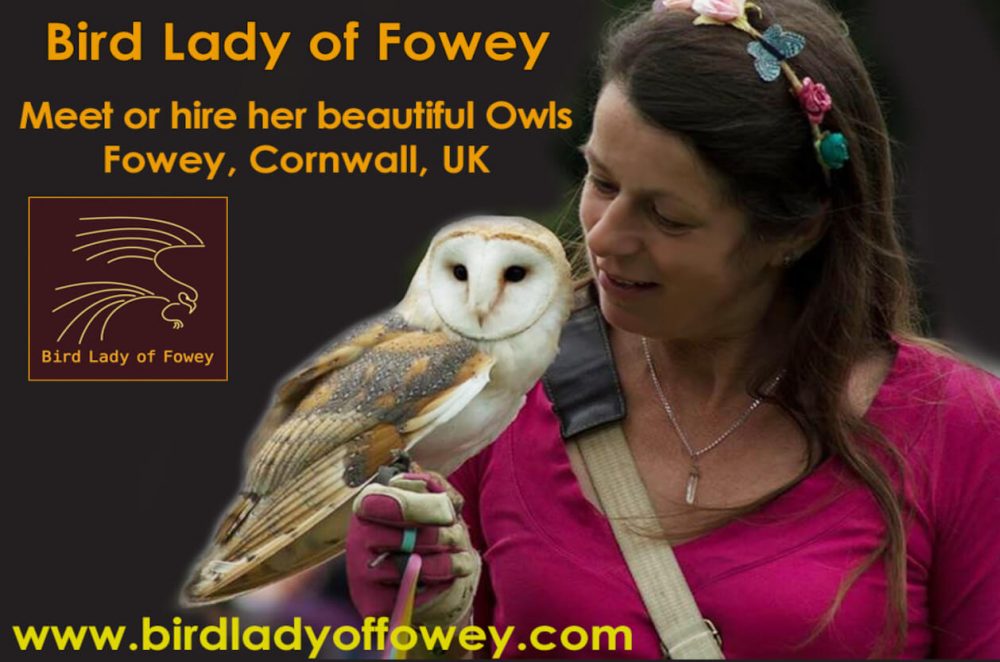 Bird lady of Fowey, Fowey