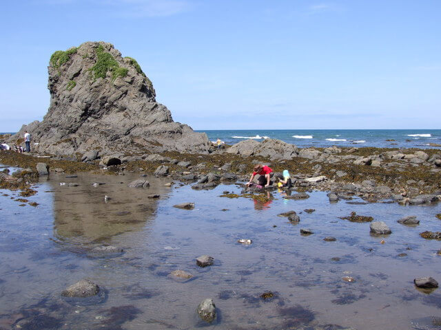 Black Rock, Widemouth Beach