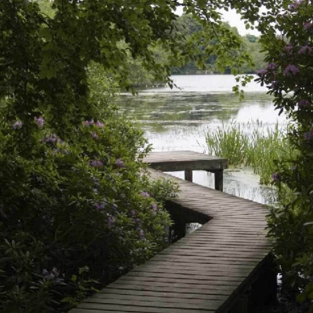 Bolam Lake