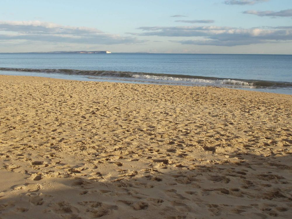 Branksome Beach Feature