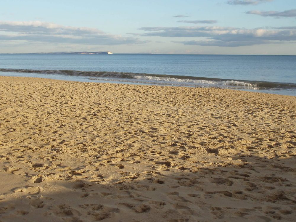 Branksome Beach Feature