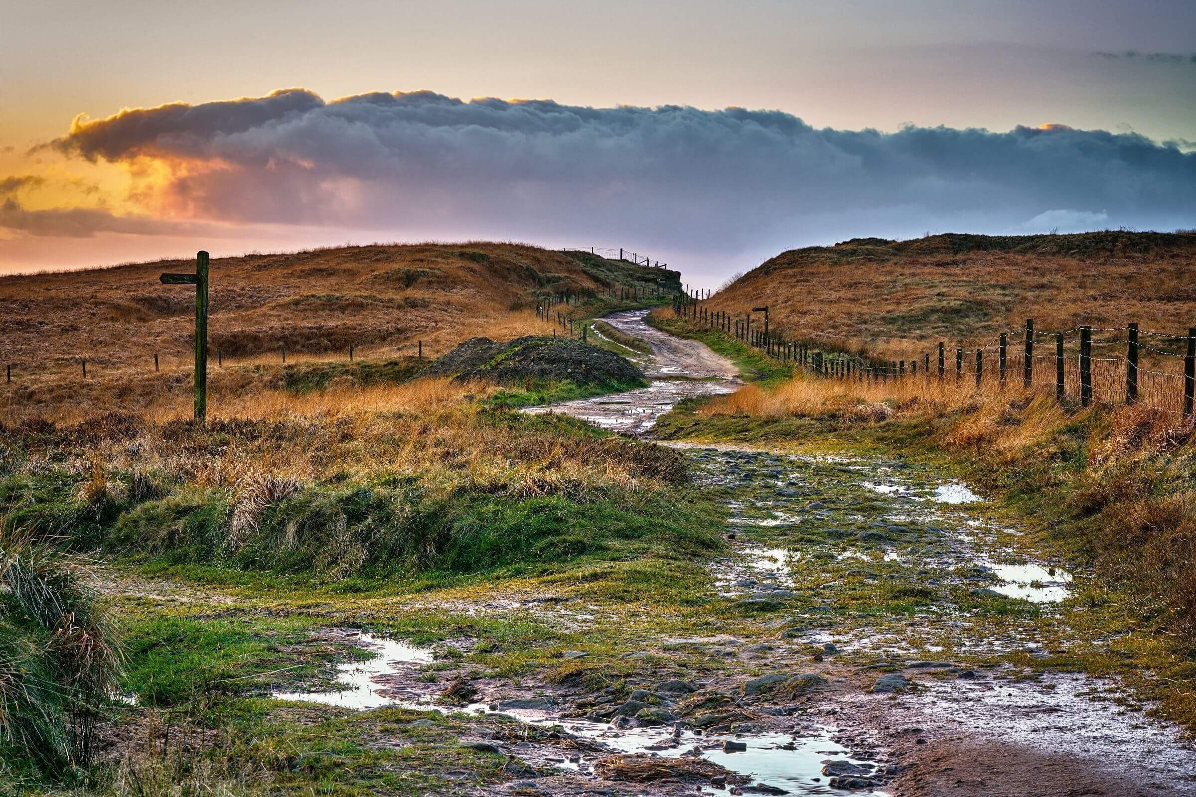 bronte country tours