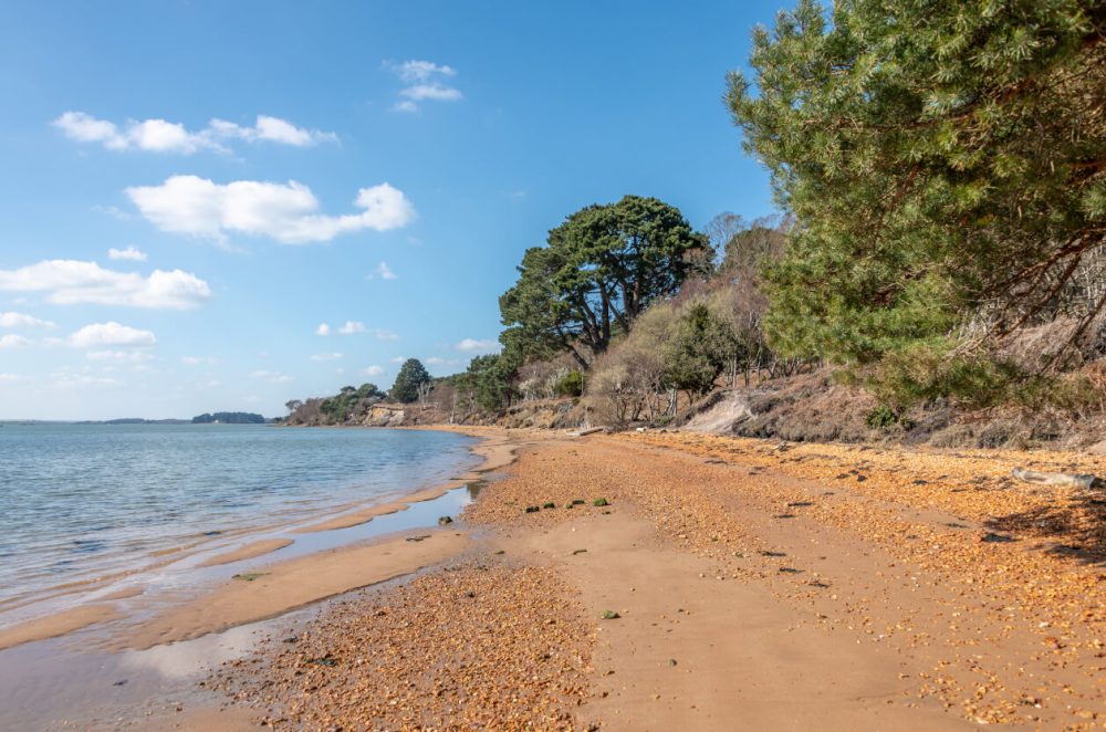 Brownsea Island