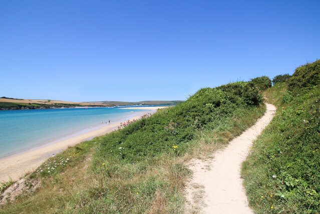 Camel Estuary