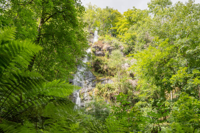 Canonteign Falls, Devon