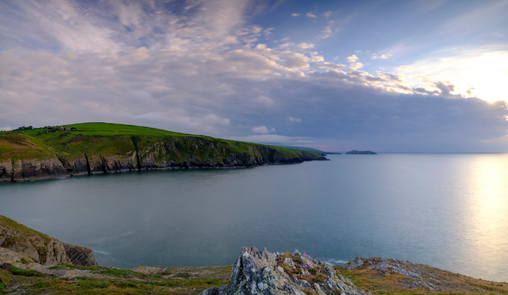 Cardigan Island Cardigan Bay