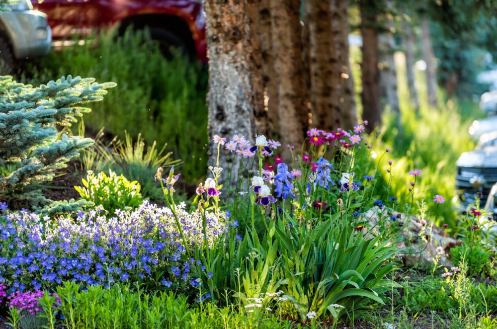 Cerney House Gardens