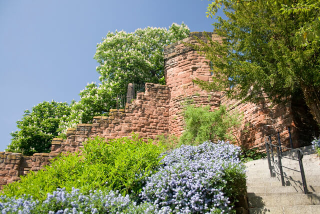 Chester City Walls