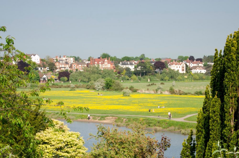 Chester Meadows