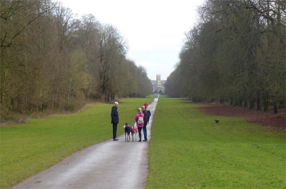 Cirencester Park