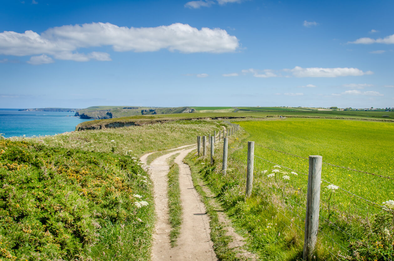 Clifftop path in Cornwall