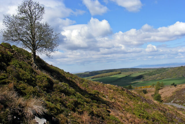 Clougha Pike