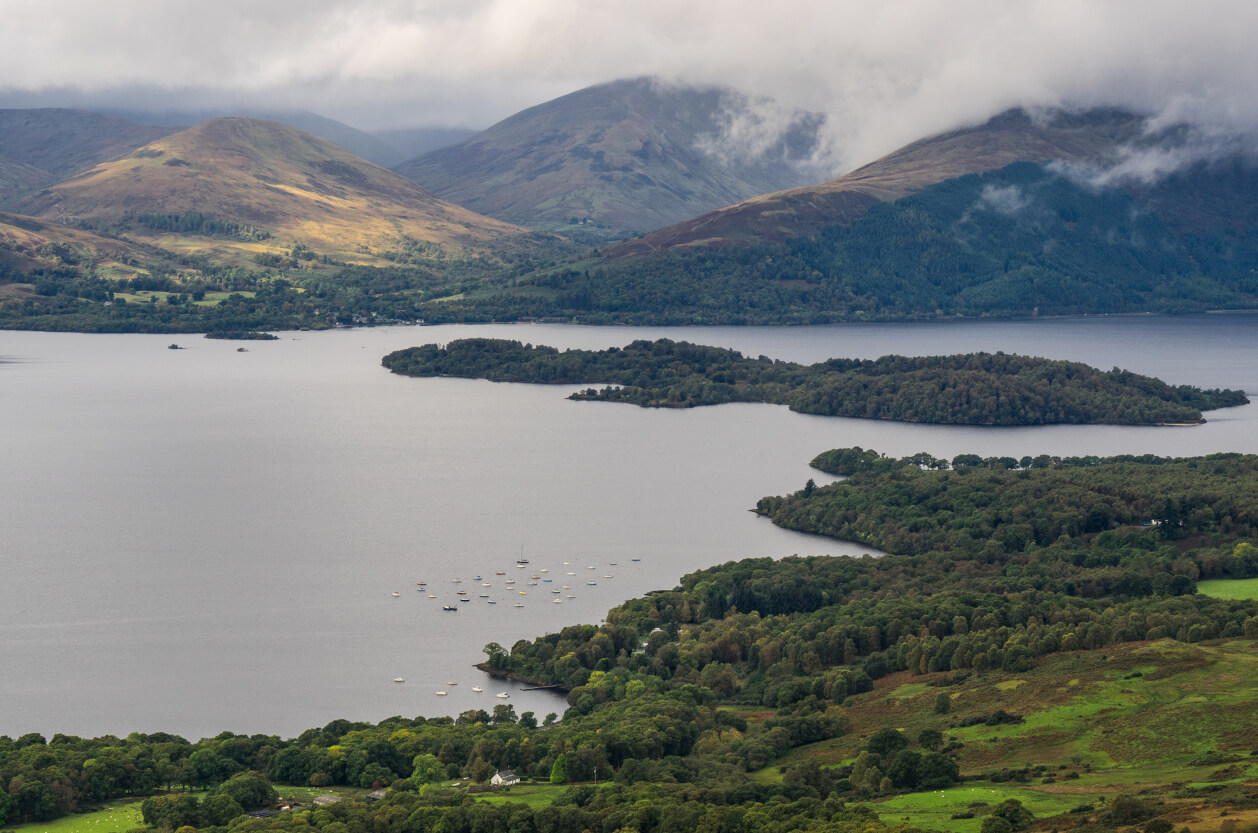 Conic Hill Walk, feature