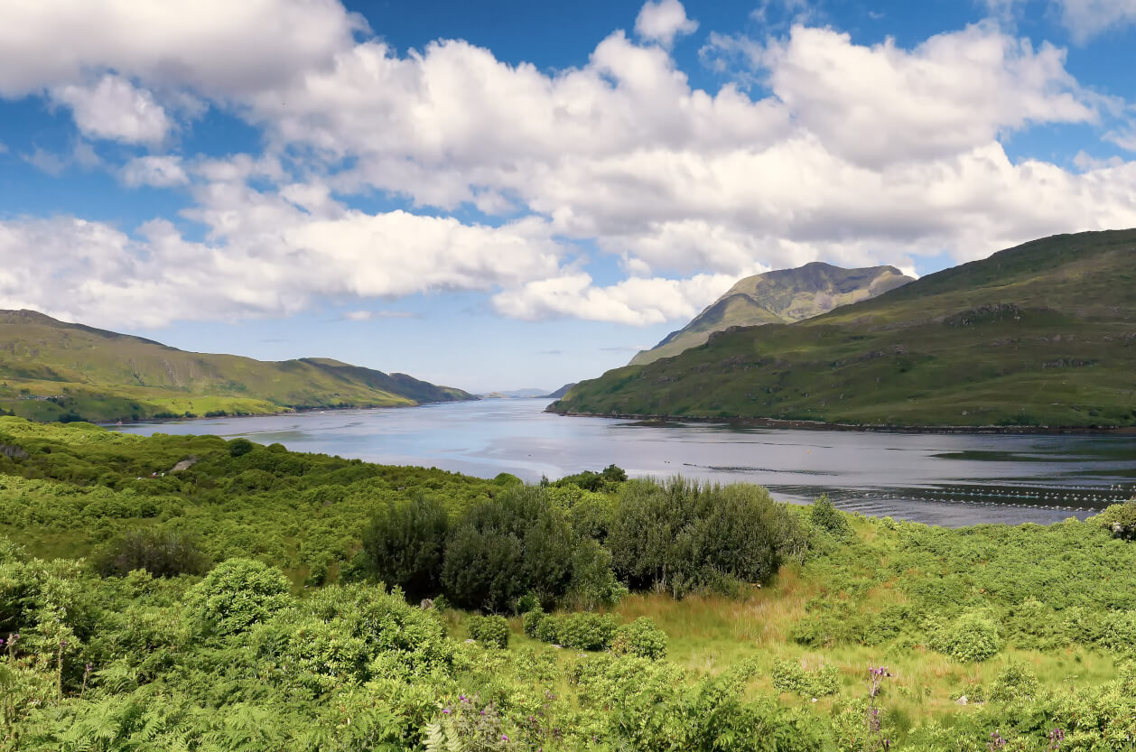 Connemara and Diamond Hill Loop, Feature