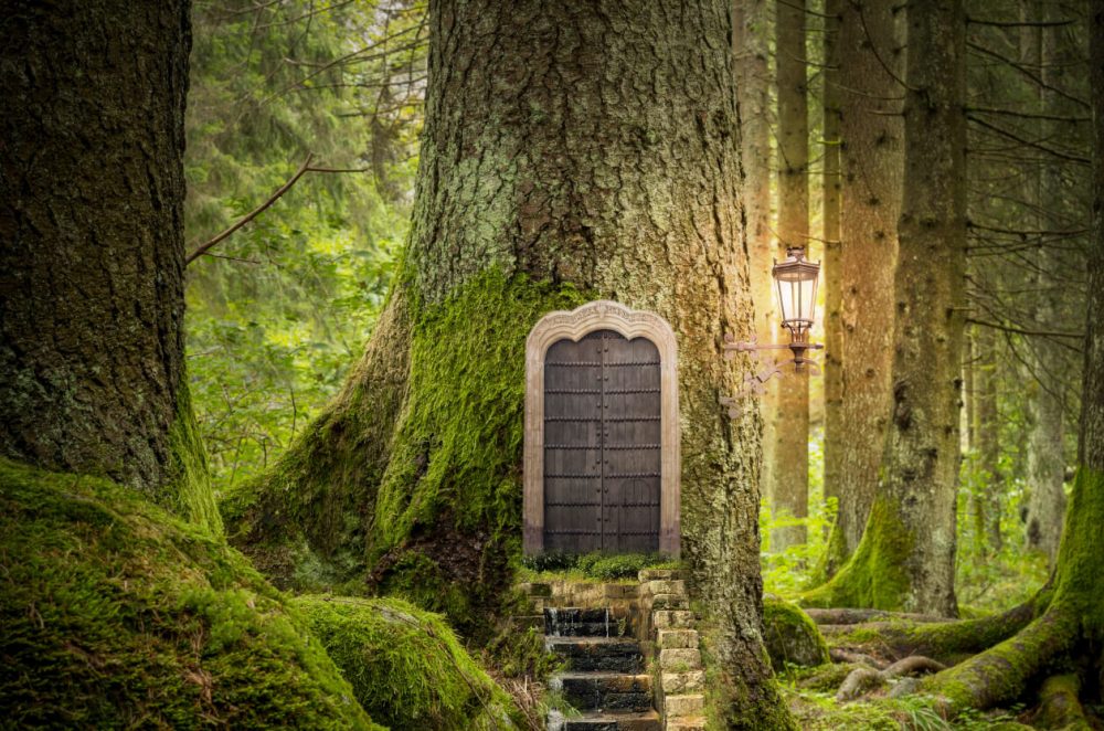 Listing Coosebean Woodland Enchanted Nature Trail