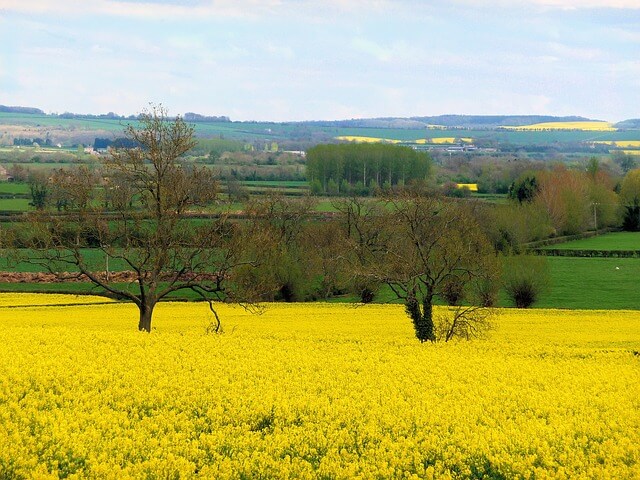 Cotswolds Countryside