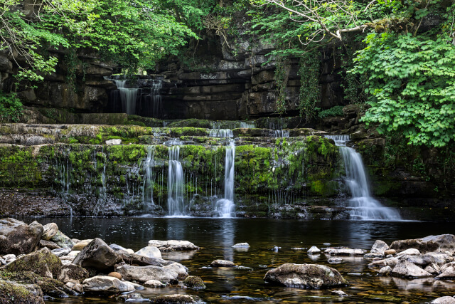 Cotter Force