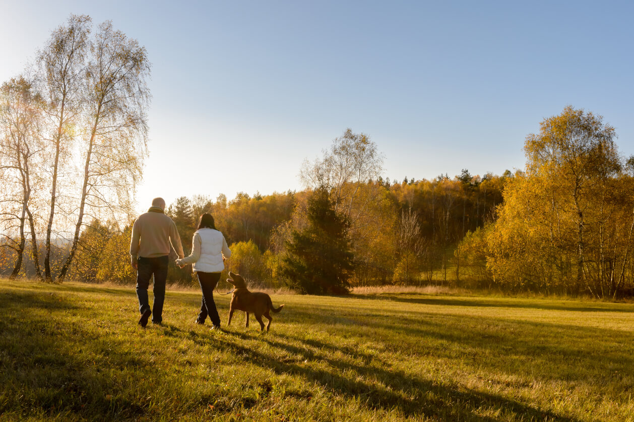 Couple walk dog