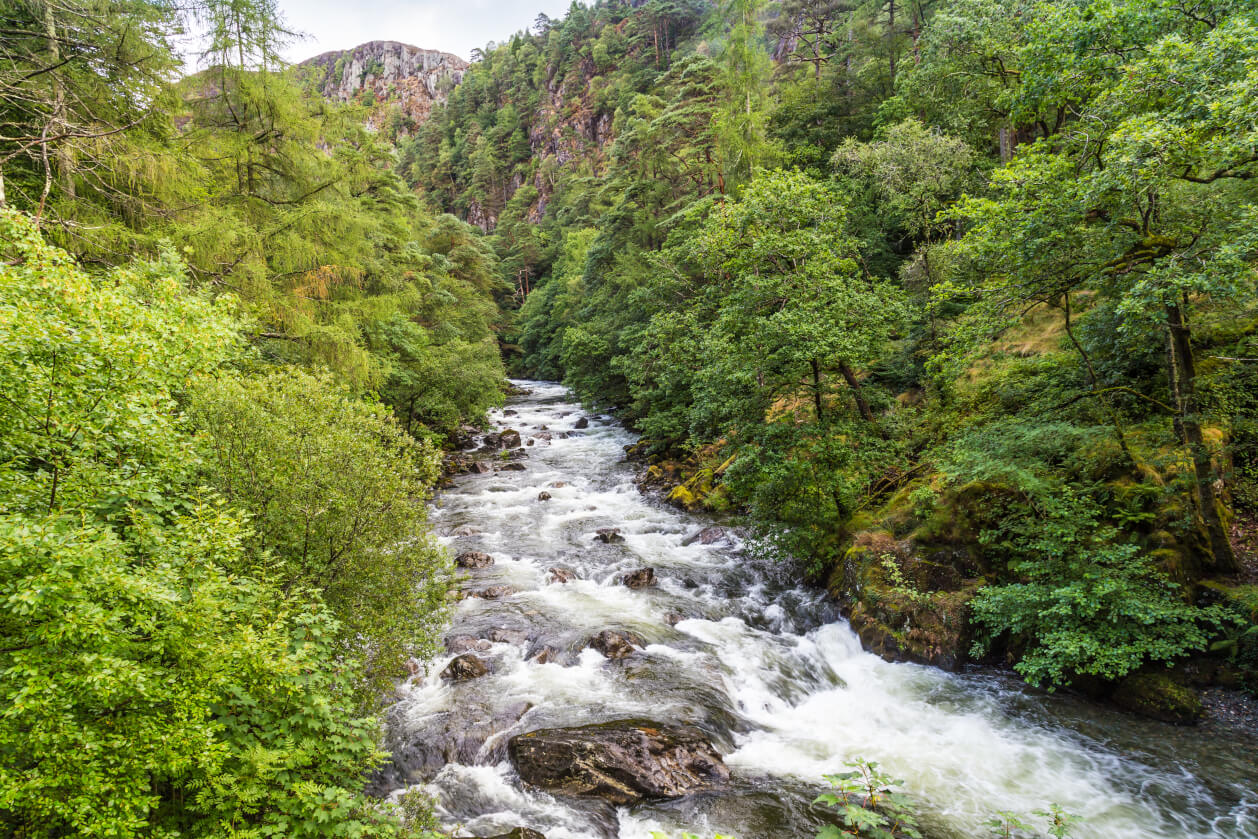 Craflwyn and Beddgelert