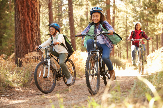 Cycling Through Fall Woodland