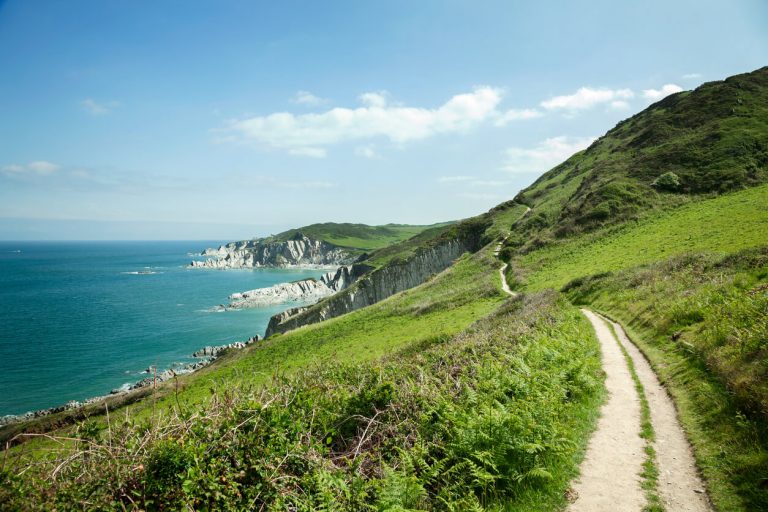 Devon Coastline