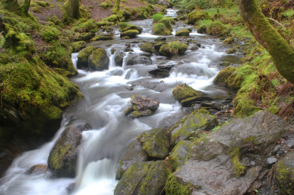 Dolgoch Falls