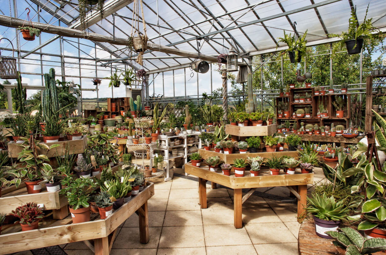 Duchy of Cornwall Nursery, Lostwithiel