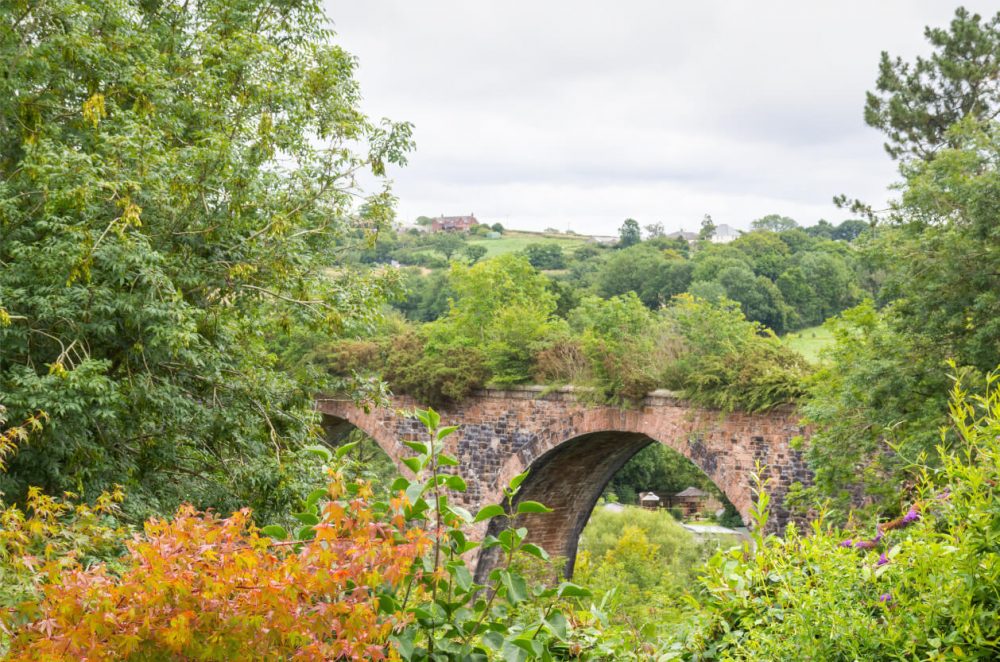 Dunsdon Nature Reserve