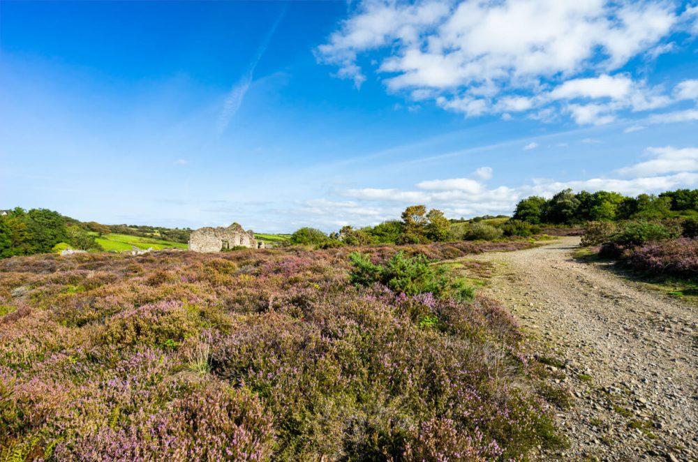 East Pool Mine