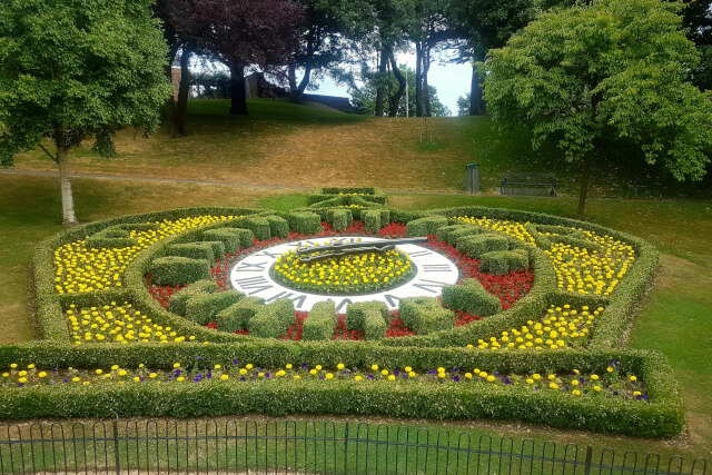 Floral Clock in Pannett Park