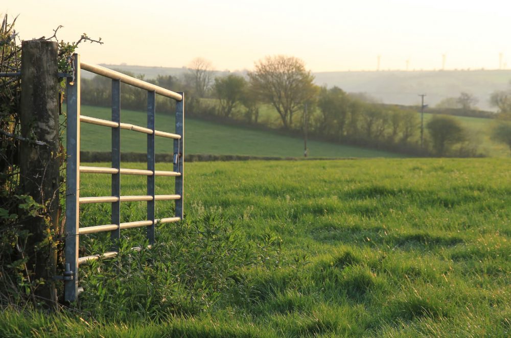 Foel Farm Park