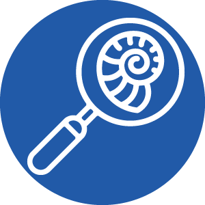 Fossil Hunting Icon