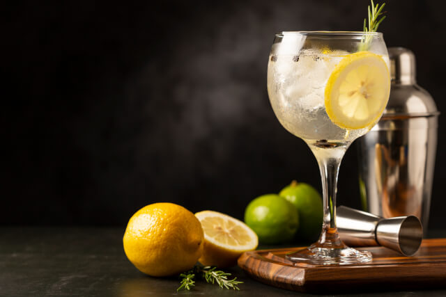 Gin Tonic garnished with lemon and rosemary