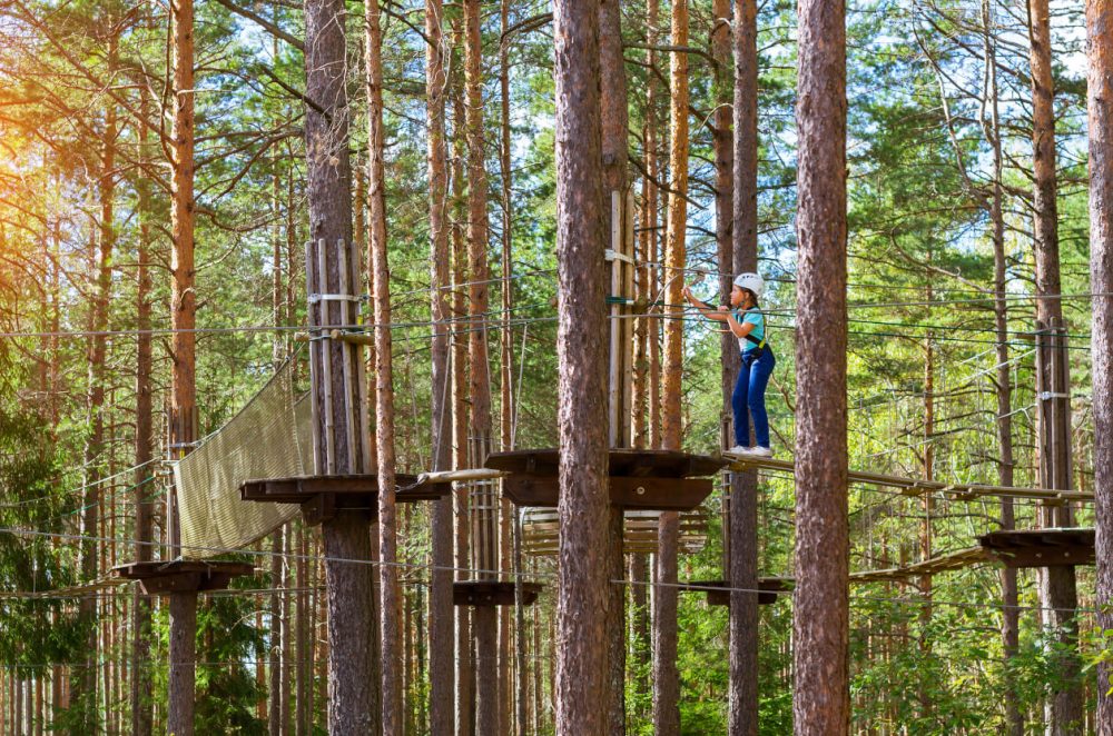Girl climbing high ropes in woods