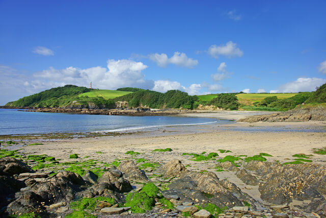 Gribbin Head and lighthouse