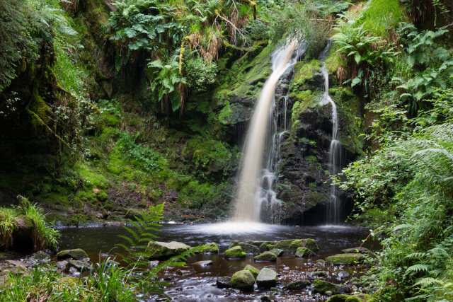 Hindhope Linn waterfall, Kielder forest park