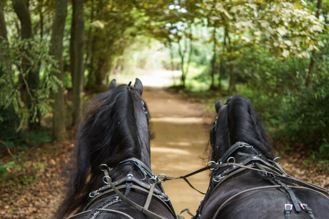 Horse Drawn Boat Centre list