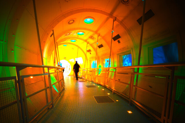 Inside Dynamic Earth