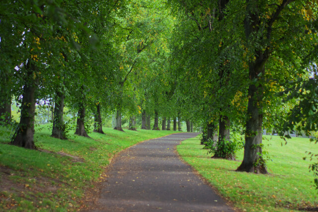 Inverleith Park