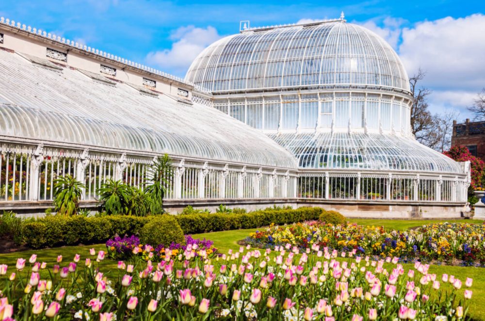 Large Belfast Botanic Gardens palm house with flowers in foreground