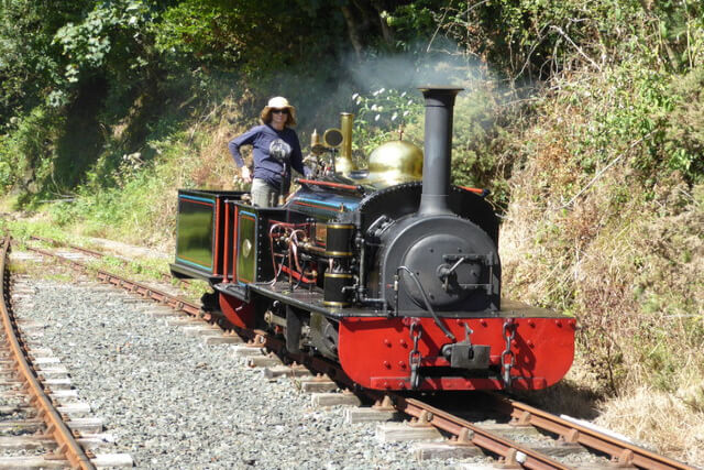 Launceston Steam Railway, Bude