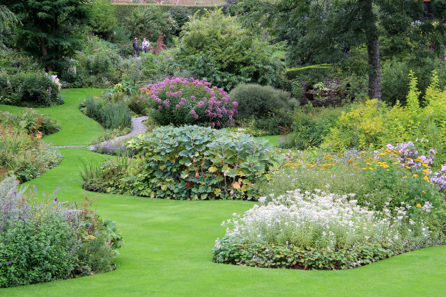 Linda Vista Gardens flowers