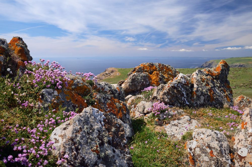 Lizard Peninsula scenery