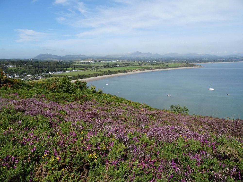 Llanbedrog Beach Feature