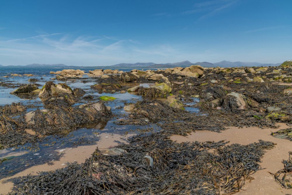 Llandanwg Beach