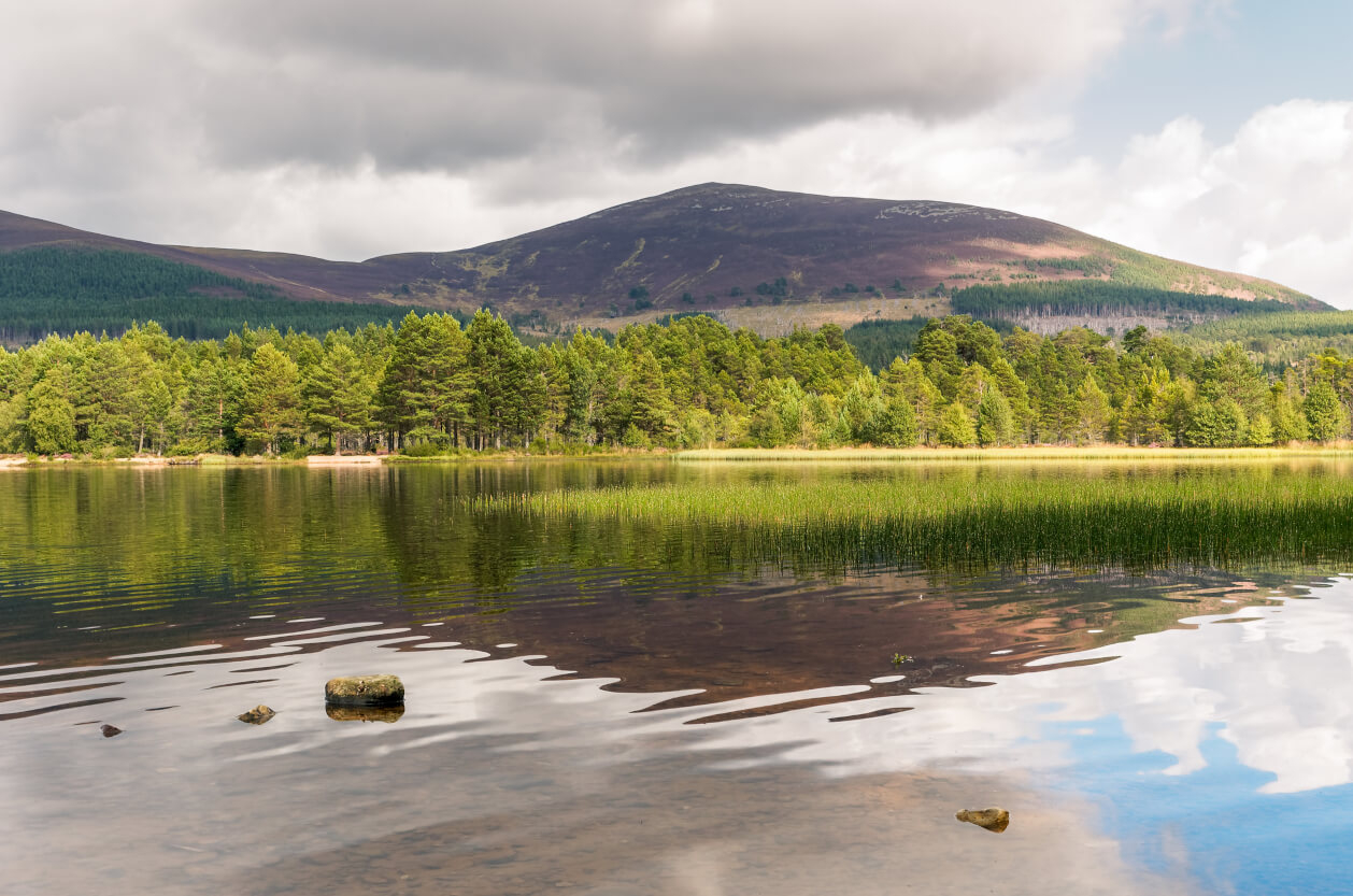 Loch An Eilien Circular, feature