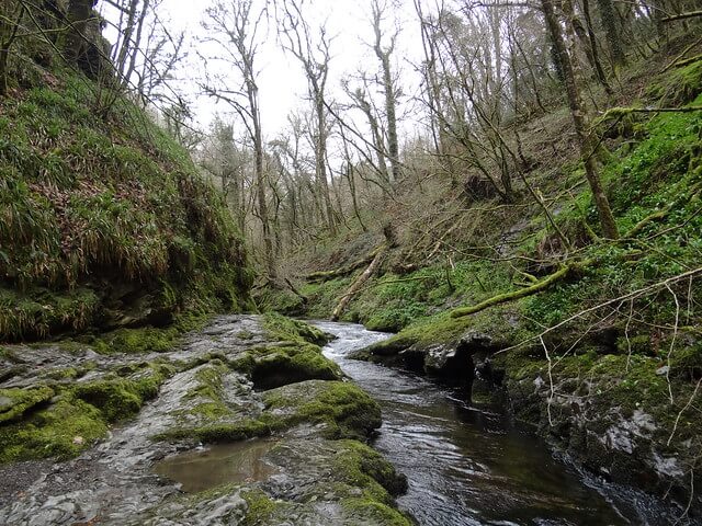 Lydford Gorge