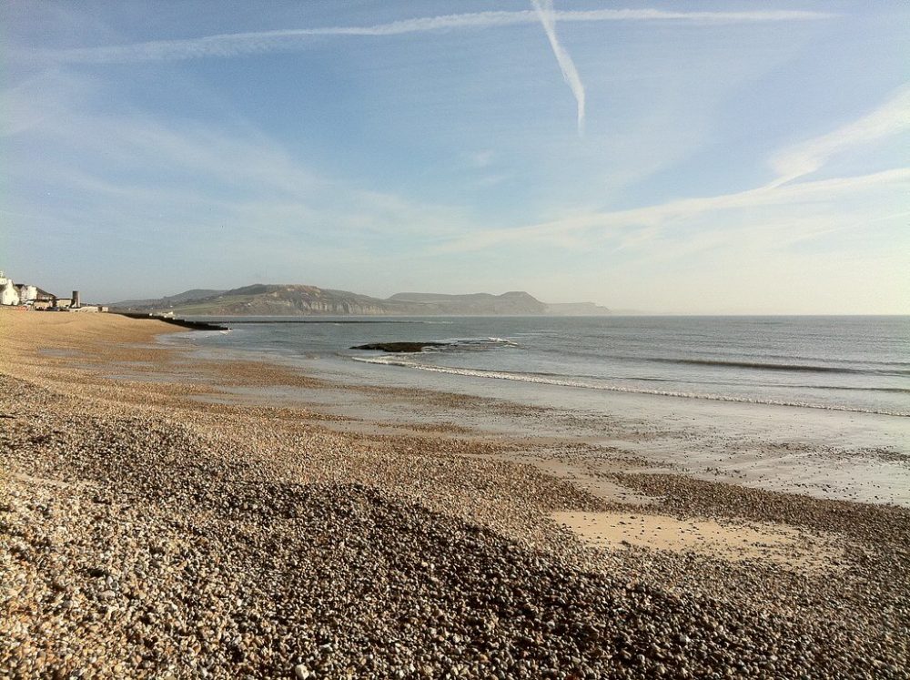 Lyme Regis Beach Feature