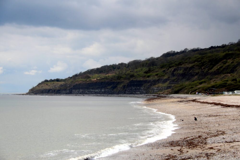 Monmouth Beach Lyme Feature