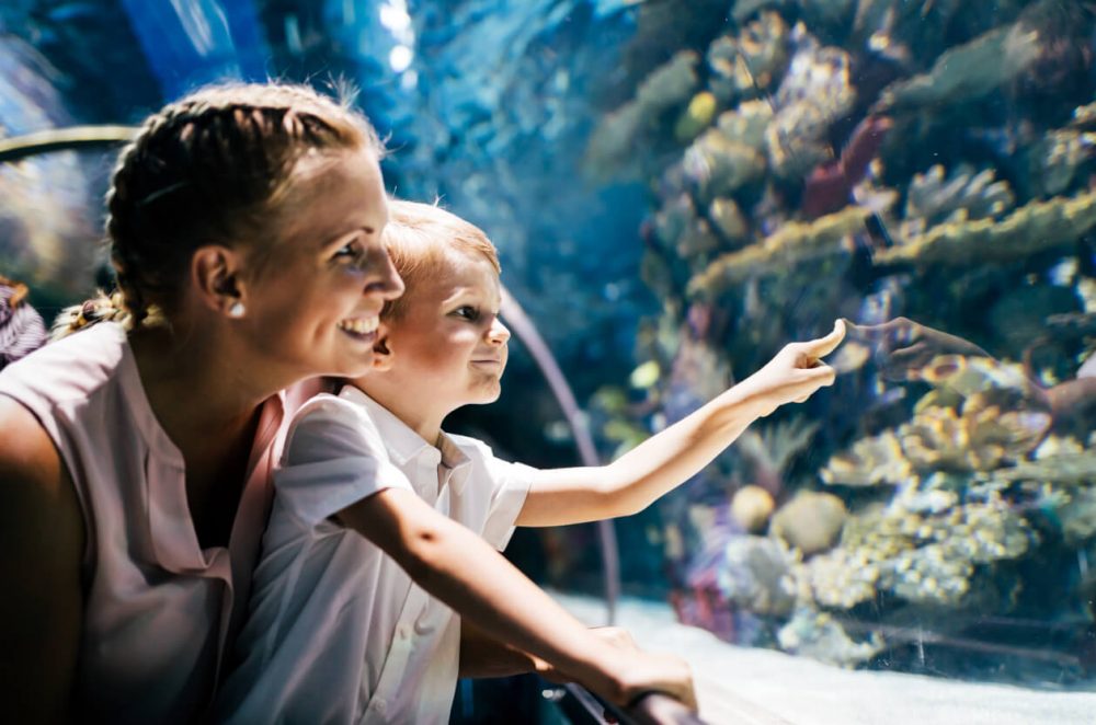 Mother and Son at aquarium